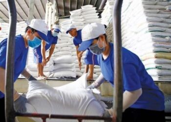 Đắt hàng, doanh nghiệp xuất khẩu gạo ‘căng não’ chọn đơn